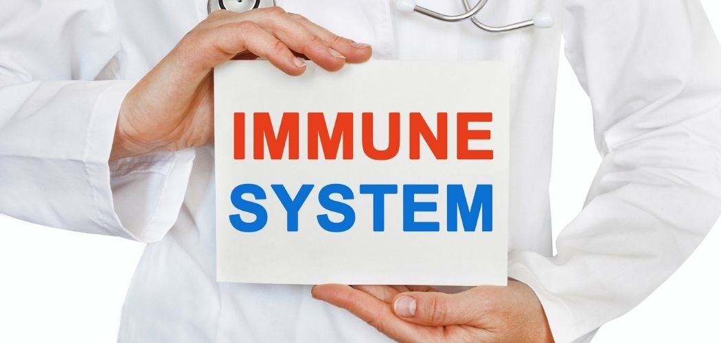 How To Increase Your Immune System? - Diagnear